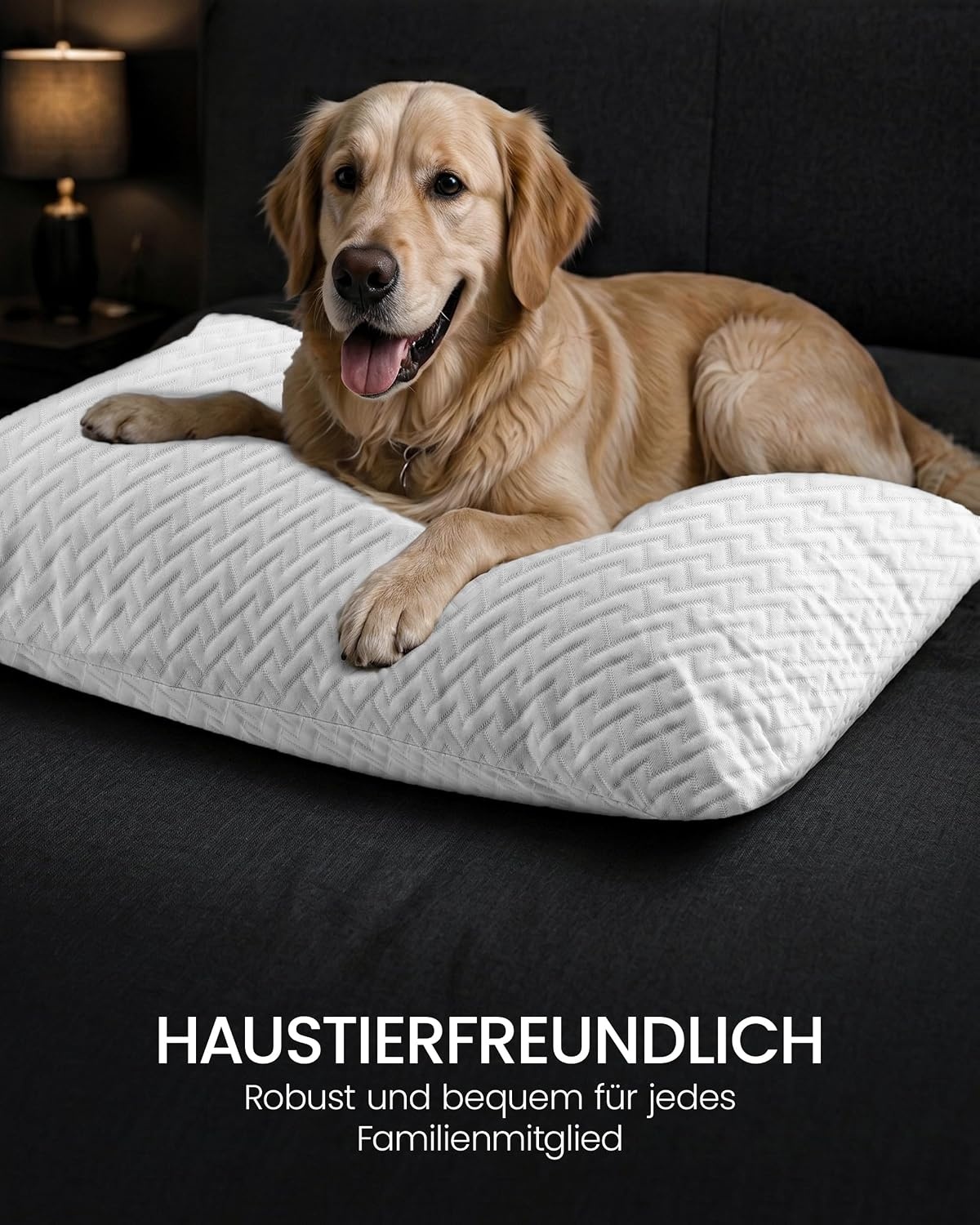 image:imageWasserdichte Kissenschoner mit Reissverschluss 2er Set weiss 50x75 cmWei