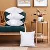 Utopia Bedding Kissenfüllung 80×80 2er Set Innenkissen Kissen Sofakissen(40×40 cm 4er Set)