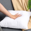 Utopia Bedding Kissenfüllung 80×80 2er Set Innenkissen Kissen Sofakissen(55×55 cm 2er Set)