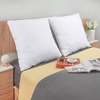 Utopia Bedding Kissenfüllung 80×80 2er Set Innenkissen Kissen Sofakissen(80×80 cm 2er Set)