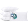 Utopia Bedding Kissenfüllung 80×80 2er Set Innenkissen Kissen Sofakissen(30×50 cm 4er Set)